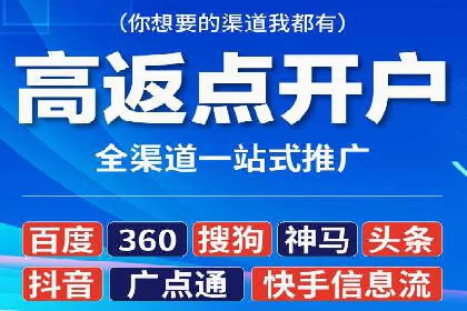 百度SEO推广策略调整：一个成功的调整案例